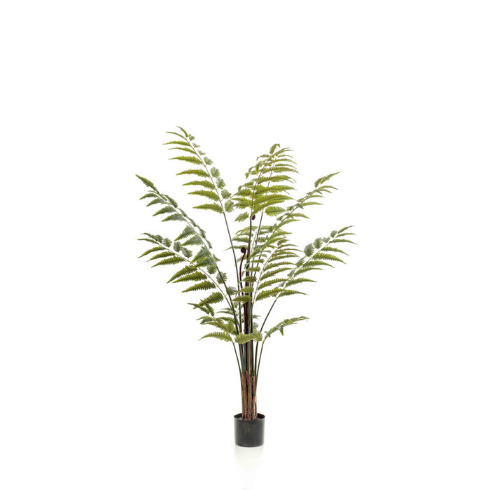 Emerald Kunstplant Leervaren Groen 150cm