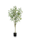 Emerald Kunstboom Eucalyptus globulus 150cm