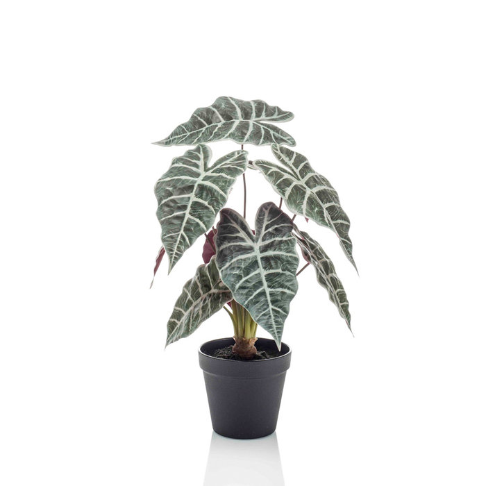 Emerald Kunsplant Alocasia 40cm in pot