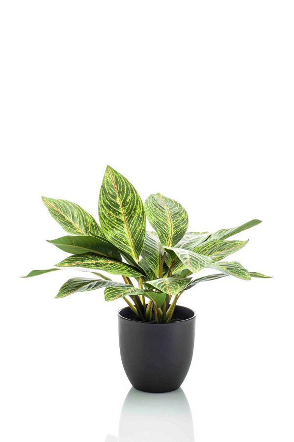 Emerald Kunstplant Croton 38cm in pot