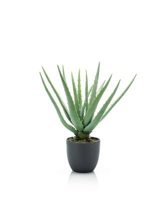 Emerald Kunstplant Aloe 35cm in pot
