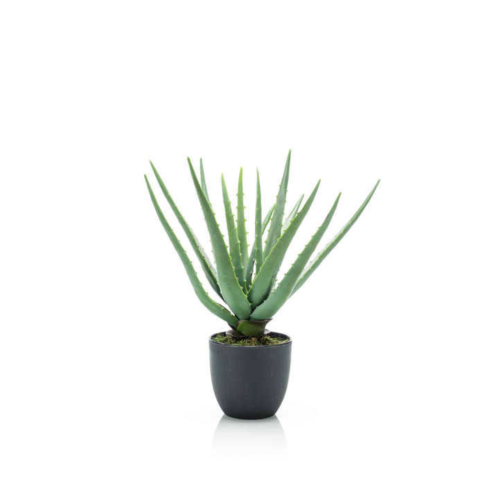 Emerald Kunstplant Aloe 35cm in pot
