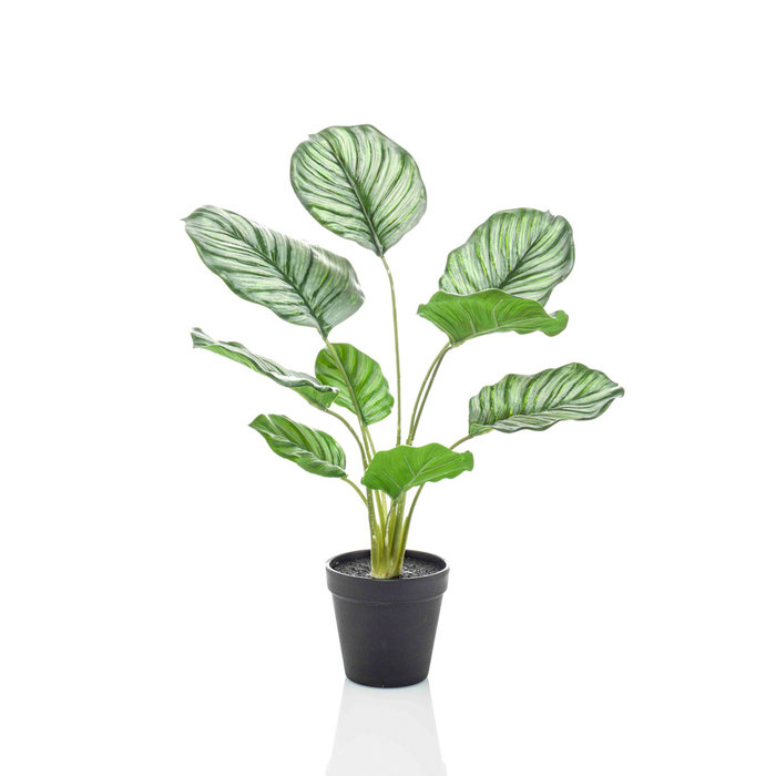 Emerald Kunstplant Calathea orbifolia 45cm in pot