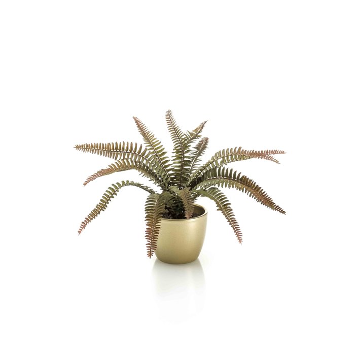 Emerald Kunstplant Varen mini groen/bruin 32cm in gouden pot