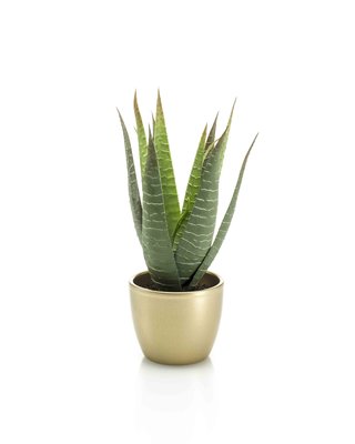 Kunstplant Aloe vera 23cm groen in gouden pot - Floralike kunstplanten -  Floralike