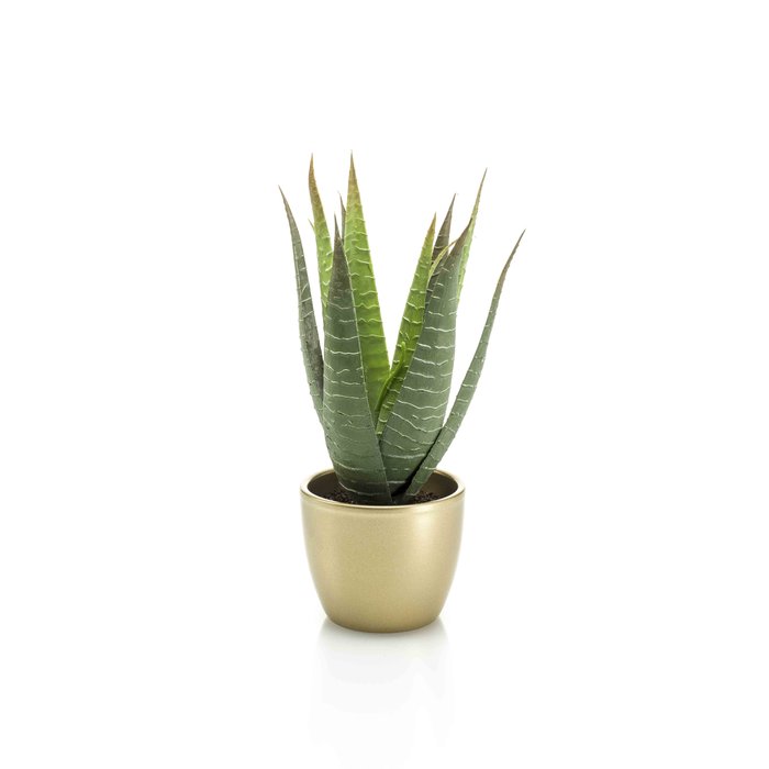 Emerald Kunstplant Aloe vera 23cm groen in gouden pot