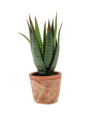 Emerald Kunstplant Aloe Vera 23cm in aged pot