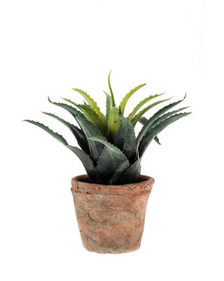 Emerald Kunstplant Agave 18cm groen/rood in aged pot