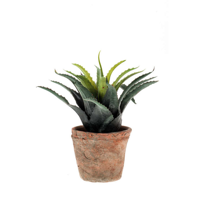 Emerald Kunstplant Agave 18cm groen/rood in aged pot