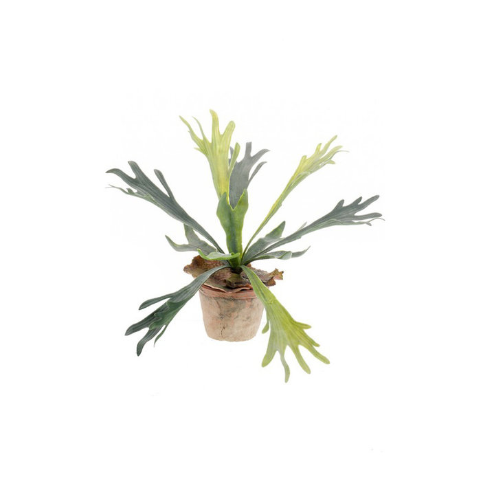 Emerald Kunstplant Hertshoornvaren 33cm in aged pot