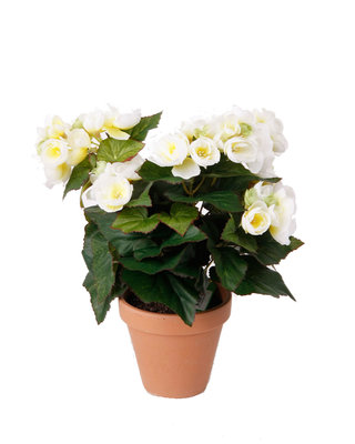 Emerald Kunstplant Begonia crème 29cm in tc pot