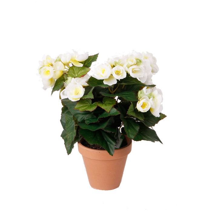 Emerald Kunstplant Begonia crème 29cm in tc pot