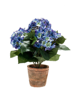 Emerald Kunstplant Hortensia 37cm donkerblauw in aged pot