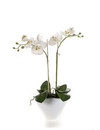 Emerald Kunstplant Phalaenopsis wit 45cm in pot