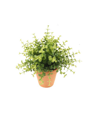 Emerald Kunstplant Eucalyptus 20cm in terracotta pot