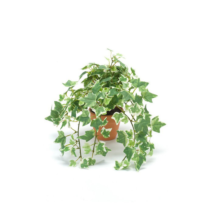 Emerald Kunstplant Mini Holland klimop groen/wit 20cm
