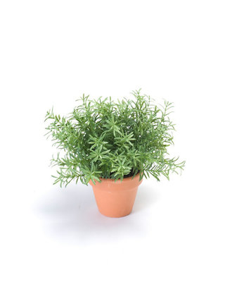 Emerald Kunstplant Rozemarijn 20cm in terracotta pot