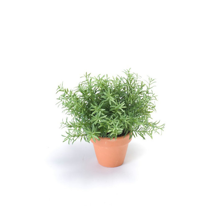 Emerald Kunstplant Rozemarijn 20cm in terracotta pot