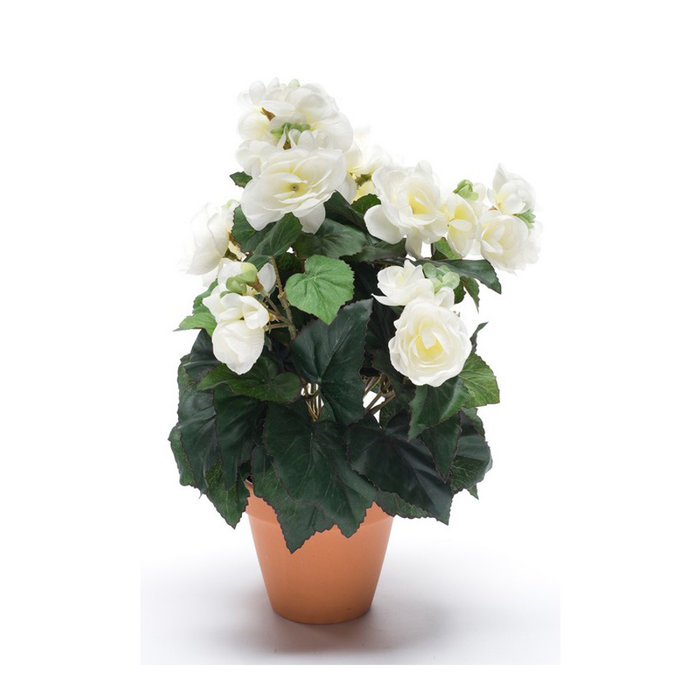 Emerald Kunstplant Begonia Cream 32cm in terracotta pot