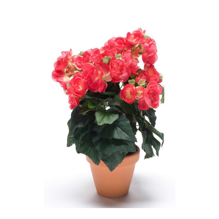 Emerald Kunstplant Begonia Pink 32cm in terracotta pot