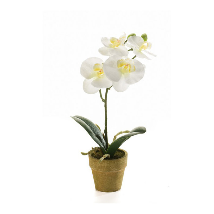 Emerald Kunstplant Vlinderorchidee Mini Cream 28cm in pot