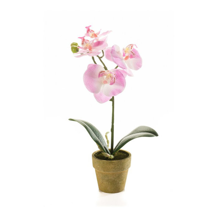 Emerald Kunstplant Vlinderorchidee Mini Pink 28cm in pot