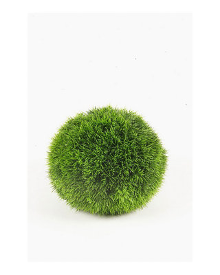 Emerald Gras bal diameter 23cm