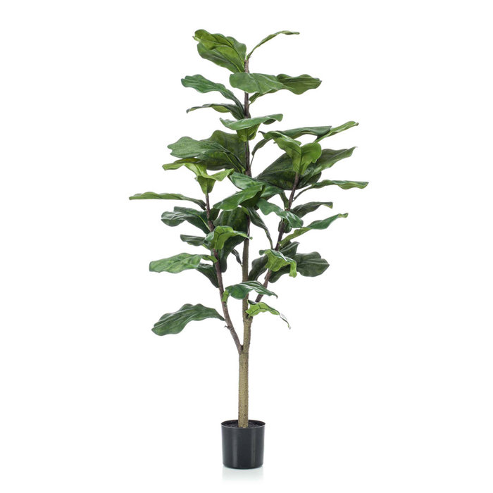 Emerald Kunstplant Ficus Lyrata 120cm