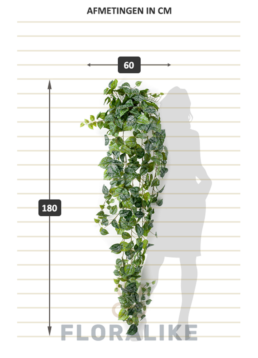 Warmte Spreekwoord kom tot rust Kunst hangplant Scindapsus 180cm - Floralike - Kunstplanten - Floralike