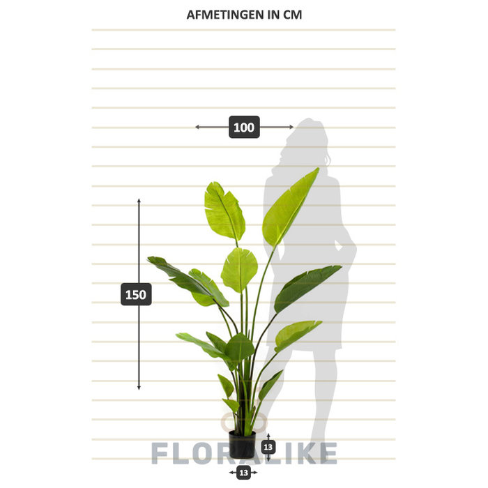 Emerald Kunstplant Strelitzia nicolai 150cm