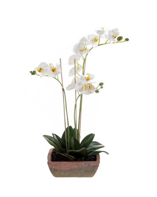 Emerald Kunstplant Vlinderorchidee x3 wit 49cm in aged pot
