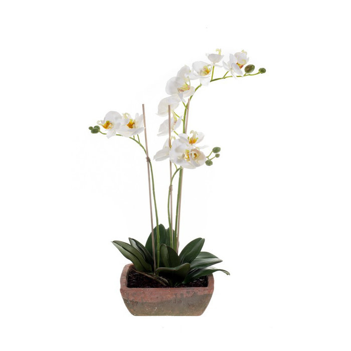 Emerald Kunstplant Vlinderorchidee x3 wit 49cm in aged pot
