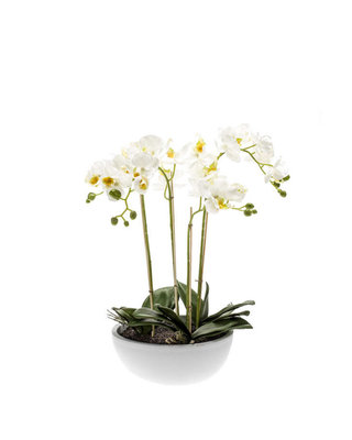 Emerald Kunstplant Vlinderorchidee x4 wit 60cm in witte pot