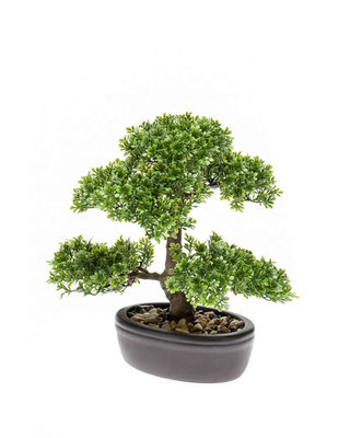Emerald Kunstplant Ficus mini bonsai 32cm op bord