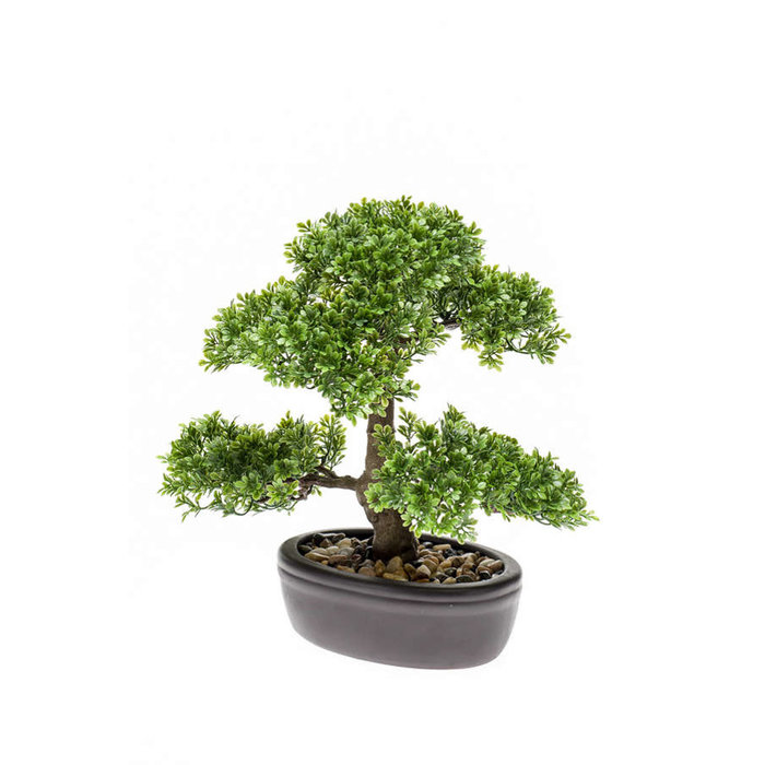 Emerald Kunstplant Ficus mini bonsai 32cm op bord