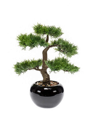 Emerald Kunstplant Cedar bonsai 34cm in zwarte pot