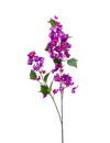 Emerald Kunstbloem Bougainvillea tak paars 117cm