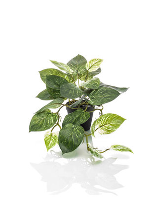Emerald Kunstplant Scindapsus groen/wit 55cm in pot