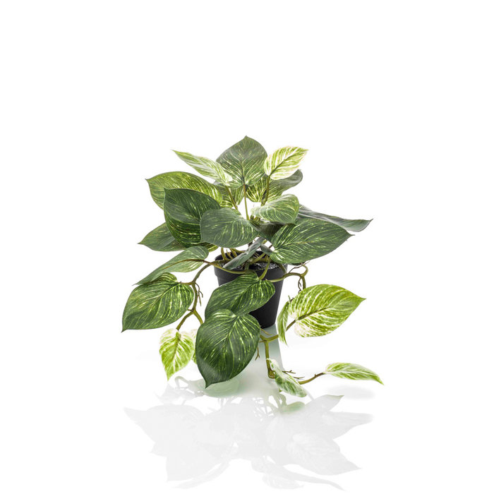 Emerald Kunstplant Scindapsus groen/wit 55cm in pot