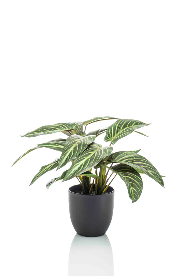 Emerald Kunstplant Calathea Zebrina 38cm in pot