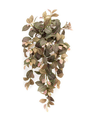 Emerald Kunst hangplant Fittonia 75cm groen/roze