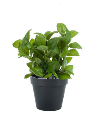 Emerald Kunstplant Basilicum donkergroen 28cm in zwarte pot