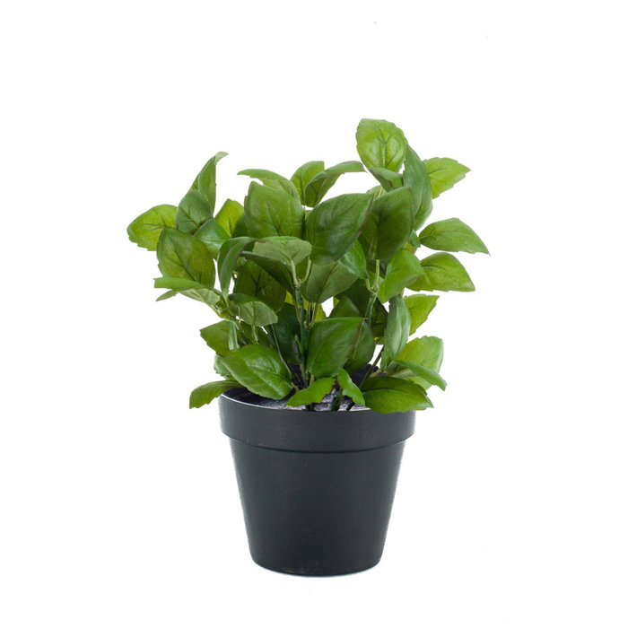 Emerald Kunstplant Basilicum donkergroen 28cm in zwarte pot