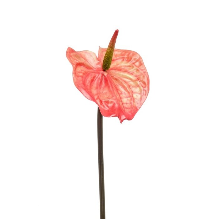 Emerald Kunstbloem Anthurium oranje 65cm