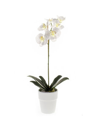 Emerald Kunstplant Vlinderorchidee Wit 58cm in witte pot