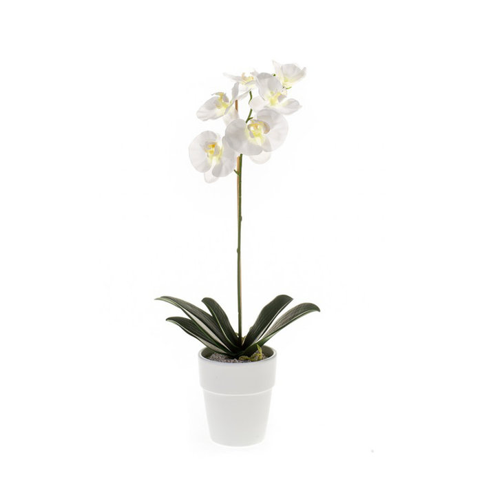 Emerald Kunstplant Vlinderorchidee Wit 58cm in witte pot