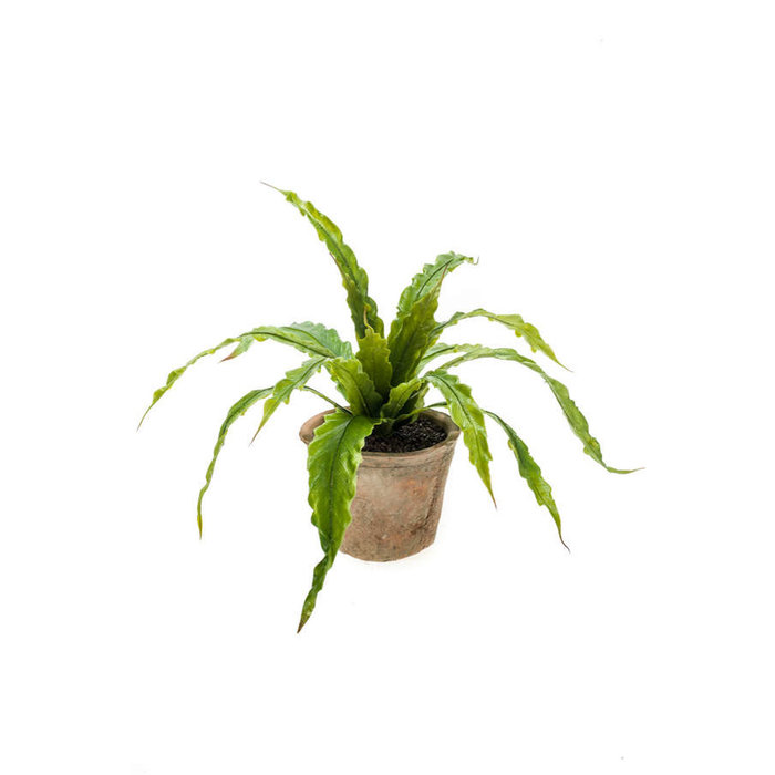 Emerald Kunstplant Asplenium varen 35cm in terracotta pot
