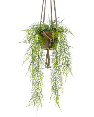 Emerald Kunst hangplant Asparagus plumosus 65cm in pot
