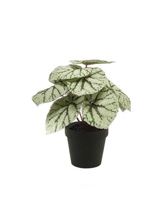 Emerald Kunstplant Begoniastruik 25cm grijs in zwarte pot