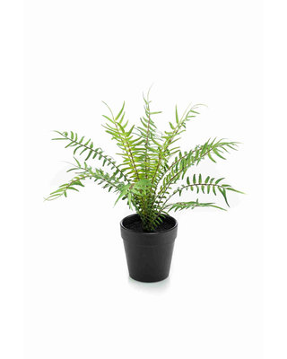 Emerald Kunsplant Varen blechnum 20cm in zwarte pot